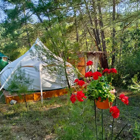 Vinsan Glamping & Wellness Centre Luxury tent Eleousa