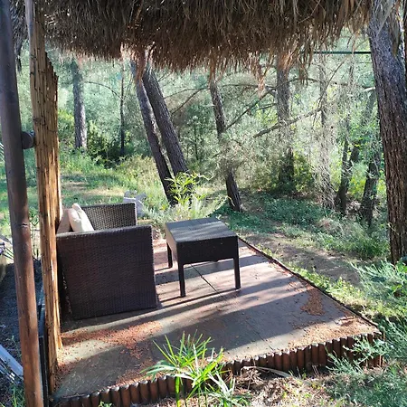 Luxury tent Vinsan Glamping & Wellness Centre