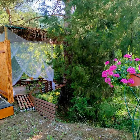 Vinsan Glamping & Wellness Centre *