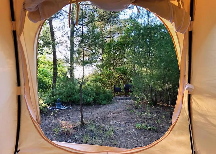 Vinsan Glamping & Wellness Centre