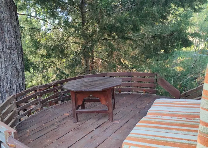 Vinsan Glamping & Wellness Centre Glamping *