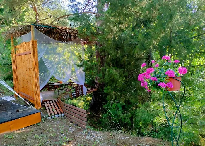 Vinsan Glamping & Wellness Centre *