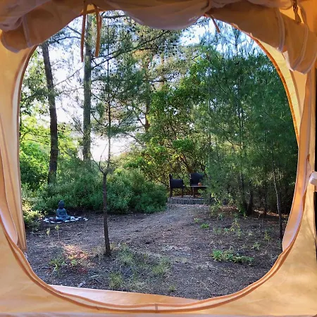 Vinsan Glamping & Wellness Centre
