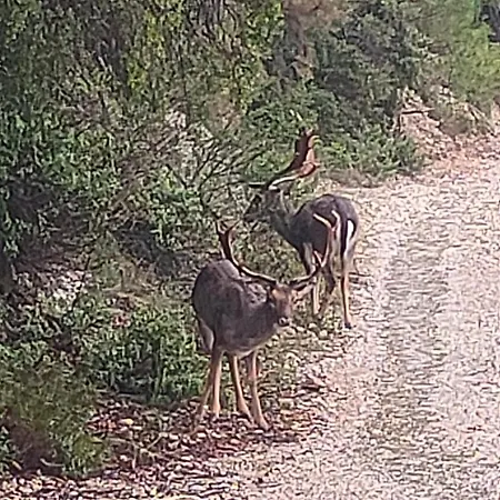 Vinsan Glamping & Wellness Centre ラグジュアリーテント *