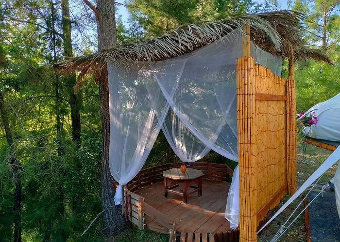 럭셔리텐트 Vinsan Glamping & Wellness Centre *